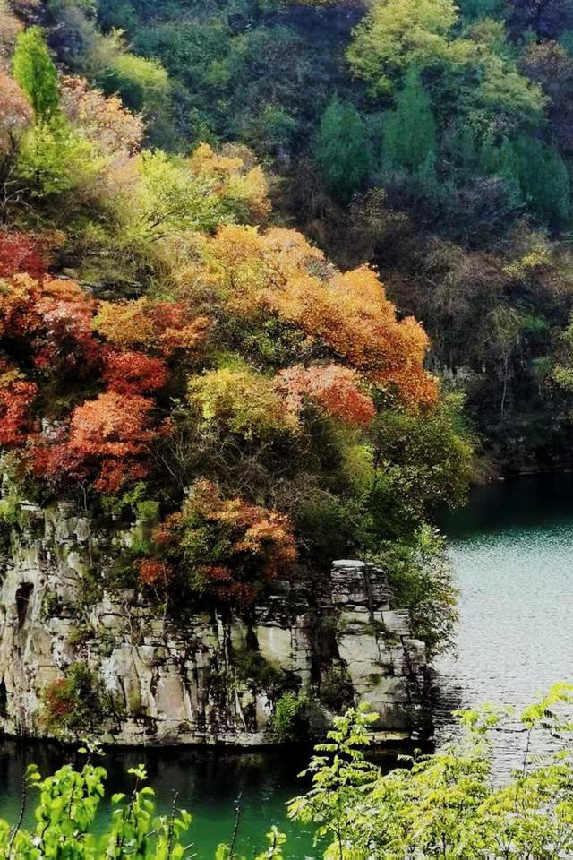 博山镇门峪：看漫山红遍，赏秋日画卷