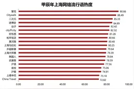 刚刚出炉！甲辰年上海网络流行语分析报告发布！图片