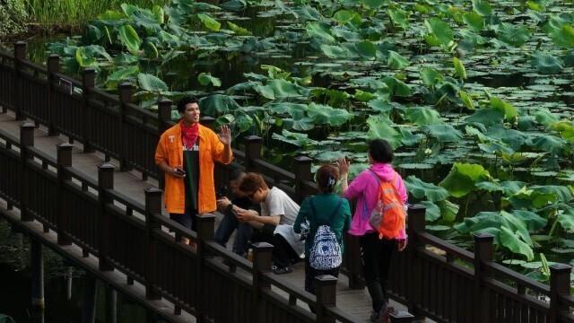 巴西博主邂逅云南普者黑：美景动人 真情更暖