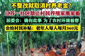 不整改就取消村养老金？江苏一社区禁止村民养殖家禽家畜，居委会回应图片