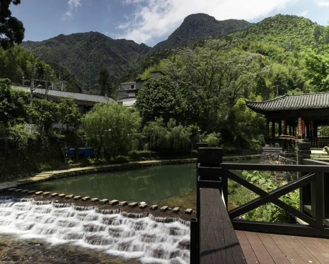 这座小城靠“香菇”火出圈！浙西南秘境，美食美景藏不住了
