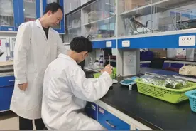 废弃物肥料化利用 “生态包袱”变“财富”图片