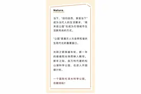最美落日打卡、科学之塔，松山湖科学公园首开区将亮相图片