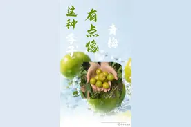 这种李子有点像青梅图片