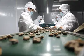 西峡县西坪镇：菌香四溢果满园，茶韵悠长福满镇图片