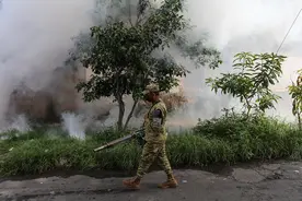 全球高温③｜高温助长蚊虫肆虐，“登革热季”延长图片