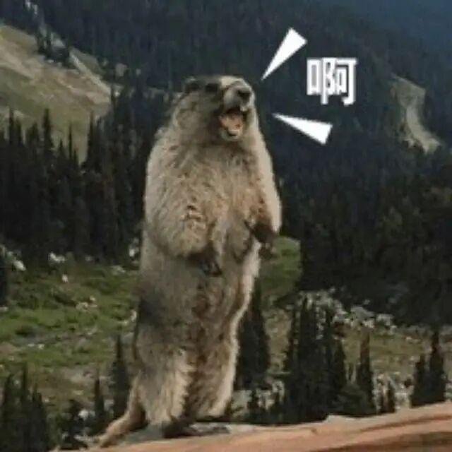 门票8元！杭州一动物园，正式开放！来了好多“新朋友”