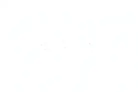 黄山风景区最新公告！图片