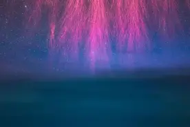 科研人员揭秘“红色精灵”群舞 | 科技前线图片