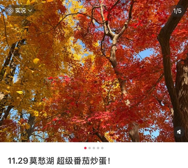 秋日特调！南京“西红柿炒蛋”皮肤已限时上线！