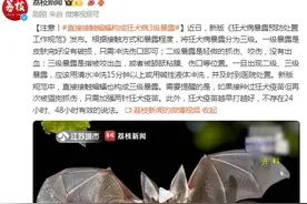 注意！直接接触蝙蝠，构成狂犬病3级暴露图片