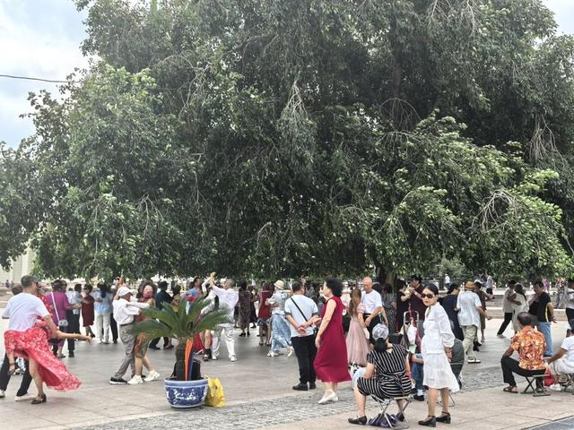 卷累了的哈尔滨人，都往这里躲