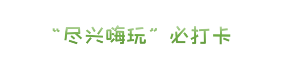 推荐！必打卡！