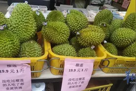 榴莲在家也能种？网上卖的榴莲苗真能结果吗？记者调查→图片