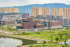 6项重点科技成果为何在金凤实验室诞生？一张科研任务清单背后的“大兵团”作战图片