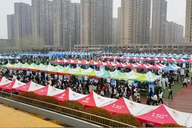 毕业季｜河南大学春季招聘会点燃求职热潮图片