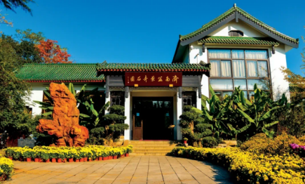 一票畅游九大场景，济南天下第一泉景区优惠套票上线