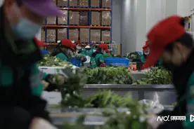 叮咚买菜关闭广深38个站点，朴朴超市美团“重仓”华南市场图片