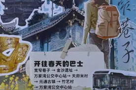 从青羊到崇州 这趟定制赏花公交正式开通图片