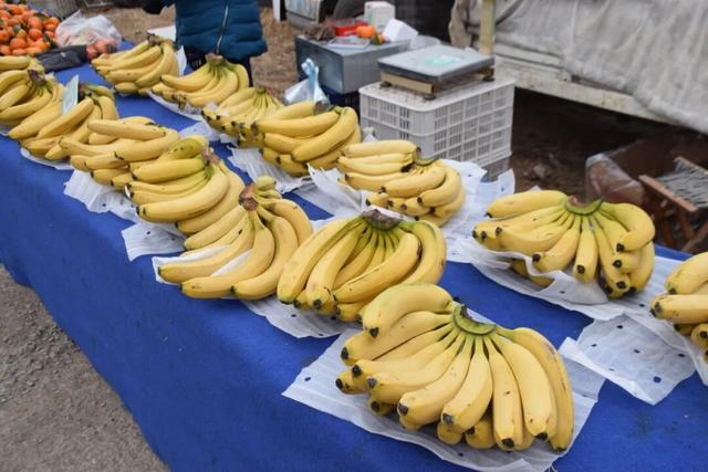 肥城寒假指南｜走！赶大集去~附大集时间表，收好！