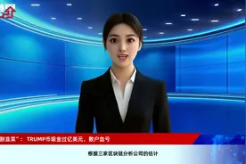 特朗普“割韭菜”： TRUMP币吸金过亿美元，散户血亏视频封面