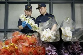 助力“520”甜蜜经济再升温，上海海关开启“鲜花快检”图片