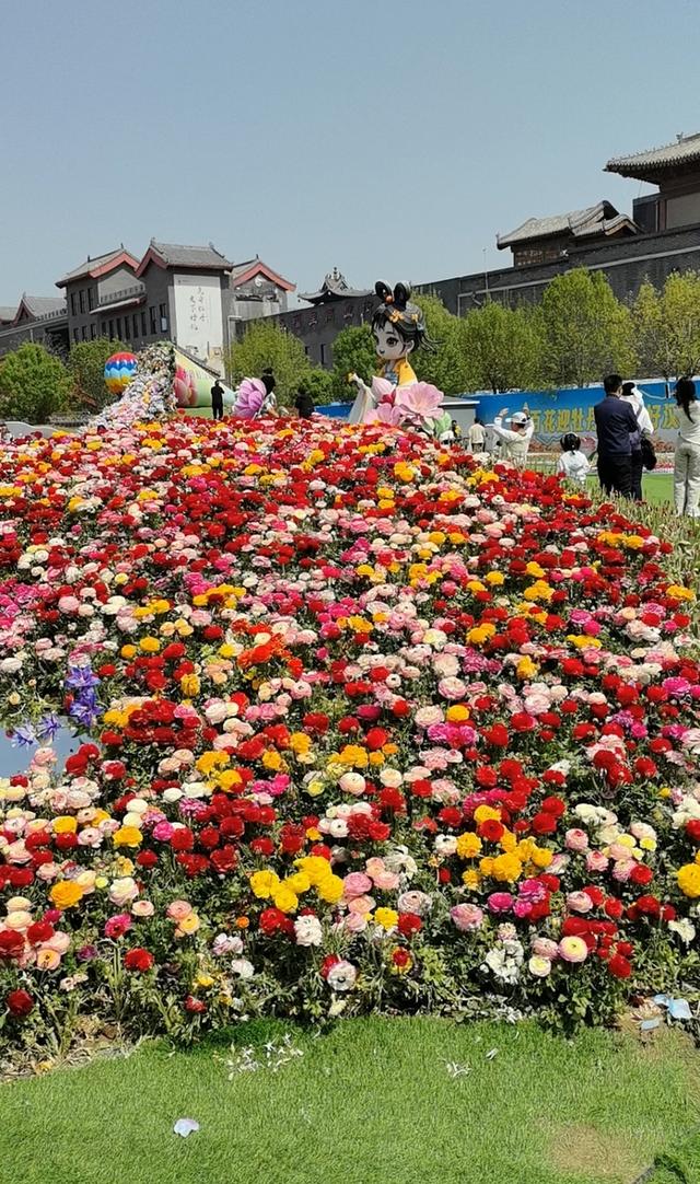 清明假期县域花经济升温