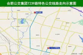 合肥公交多条线路有调整！图片