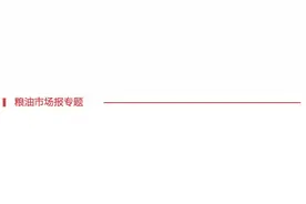 巴拿马运河通过能力下降，对国际大豆物流有何影响？图片