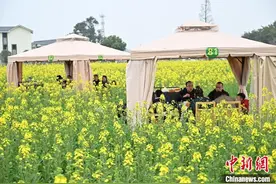 （神州写真）空中看花、舌尖品花 中国多地赏春潮起图片