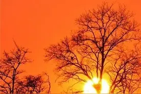 用活“小区自治金”，“扰民”篮球场变身居民“新天地”→图片