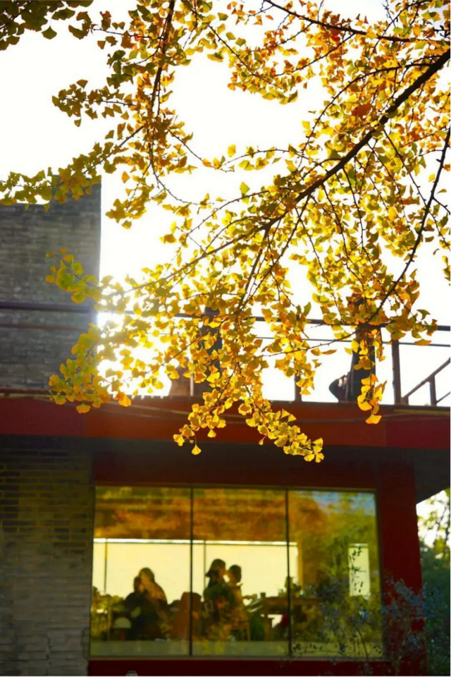 上海市中心又一公园拆除围墙！内藏明城墙和宝藏机位！怎么还有个“灶披间”？