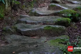 拨开云雾见真容  寻觅“传奇”荔枝道｜寻路蜀道图片