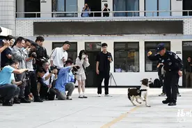 福州警犬“神一样的队友”练成记图片