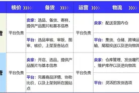 TEMU，我的人生第一桶金图片