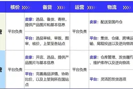 TEMU，我的人生第一桶金图片