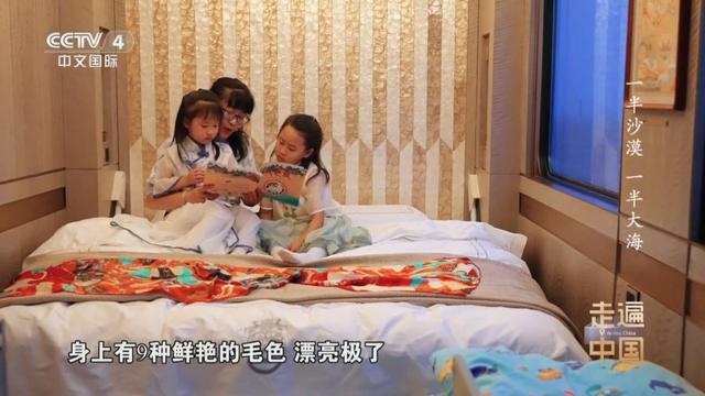 《最美旅途》第二季推出