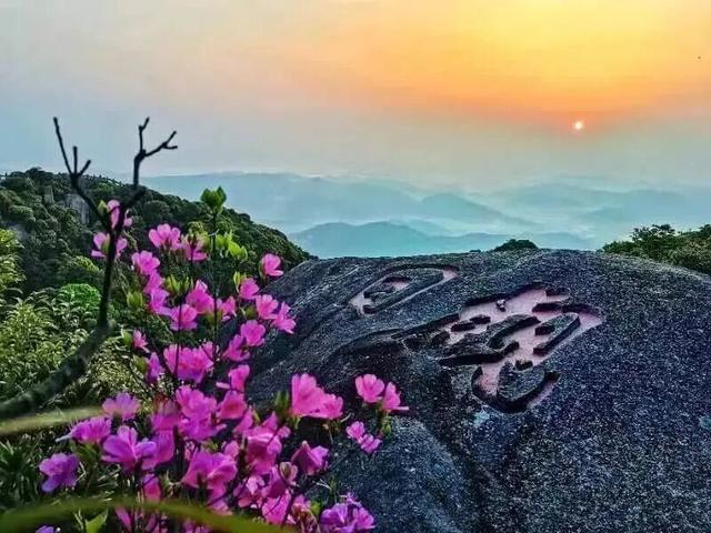 别辜负春天！4月宁德1景区进入颜值巅峰！快来赏花~