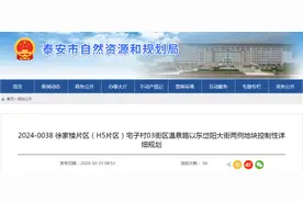 涉及医院、公园、商场、居住用地，泰山区发布最新规划公示图片