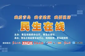 太平洋财产保险股份有限公司青岛分公司副总经理徐莉做客民生在线：创新开办胶州大白菜和即墨中草药价格指数保险图片