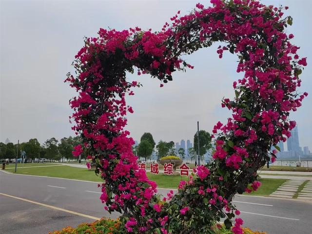 花开四季扮靓城市环线，古城武昌变身“花都”