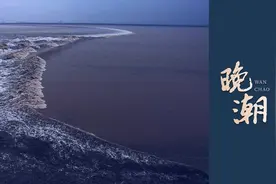 江南物语｜青山湖水上森林初冬印象图片