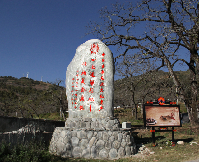 漾濞是“世界核桃起源地”！有五个维度可为证……