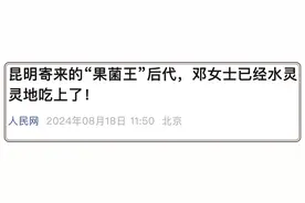 传媒观察 | 媒体人爱用的热梗都有啥？图片