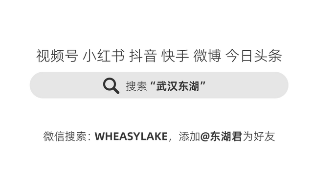 东湖这四处绝美秋景，出片率100%