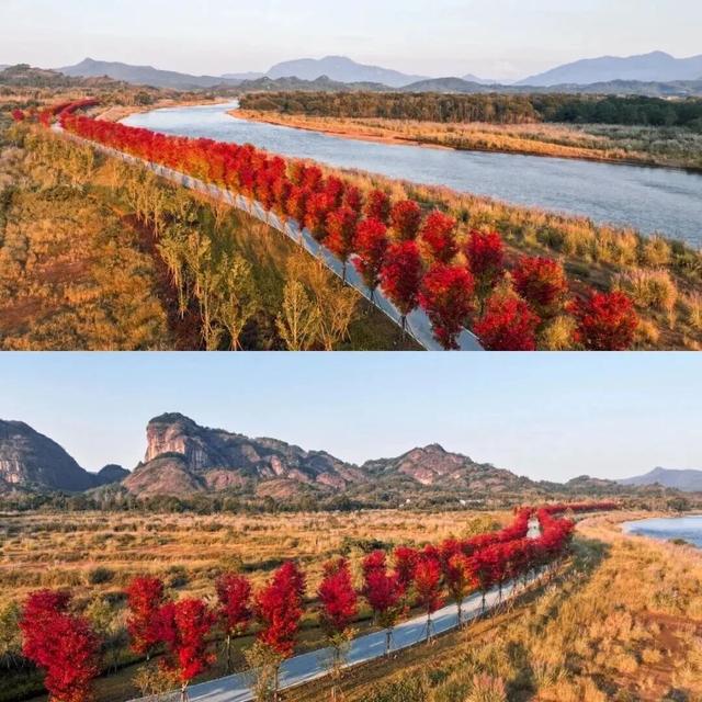 霜降已至，江西这几座名山秋色绝美，快来打卡！