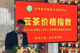 云南2025年1405个村寨春茶预报价发布图片
