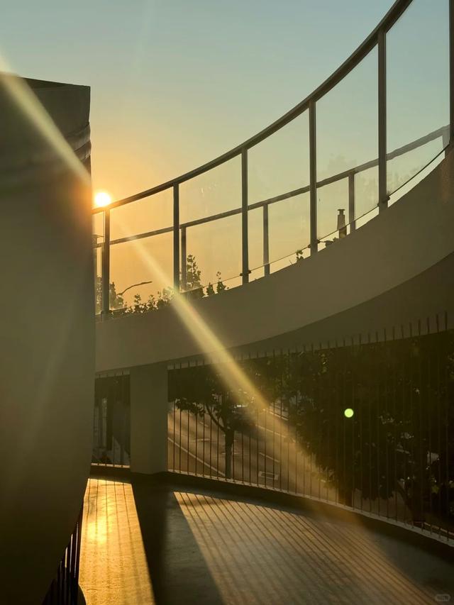 红叶+落日！普陀这几处宝藏打卡地美翻啦！