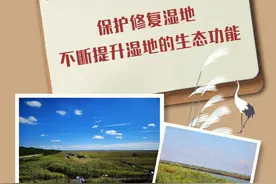 辽宁盘锦：保护修复湿地，不断提升湿地的生态功能图片