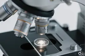 空间站上新 “六边形战士”！天宫尼尔菌有哪些生存绝技？图片